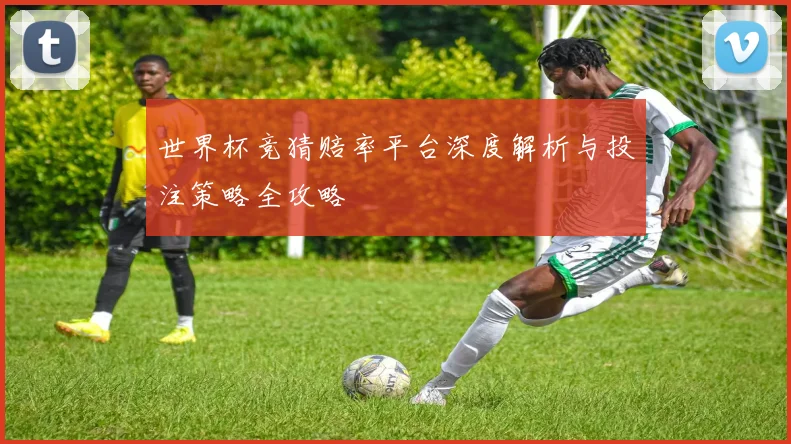 世界杯竞猜赔率平台深度解析与投注策略全攻略