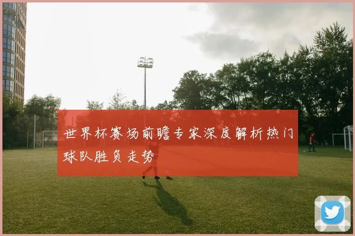 世界杯赛场前瞻专家深度解析热门球队胜负走势