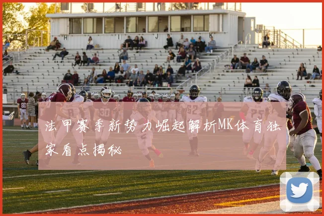 法甲赛季新势力崛起解析MK体育独家看点揭秘