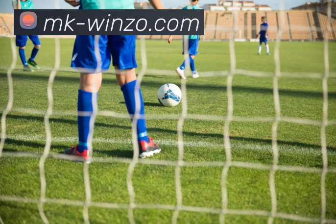 MK体育平台展示图